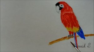 Новинка нашей коллекции. Павловопосадский платок Восходящее солнце. Примерки.