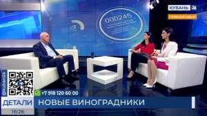 Симон Черепнин: на господдержку виноградарства и виноделия в регионе предусмотрено 1 млрд 238 млн ру