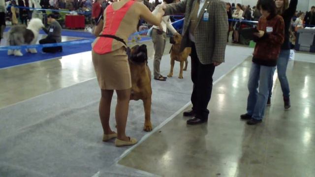 Больше статей и видео на allbestdog.ru смотреть онлайн