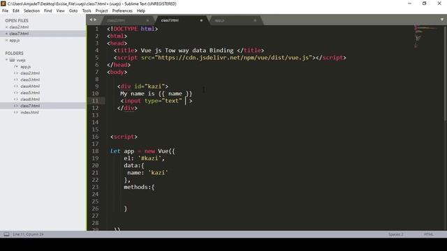 #8 VueJs Two Way Data Binding | Vue JS Tutorial