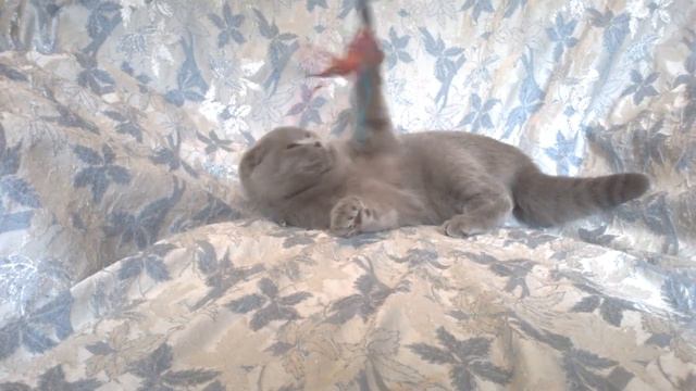 Barcelona смотреть онлайн