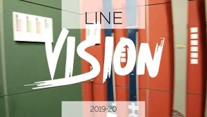 Горные лыжи Line Vision