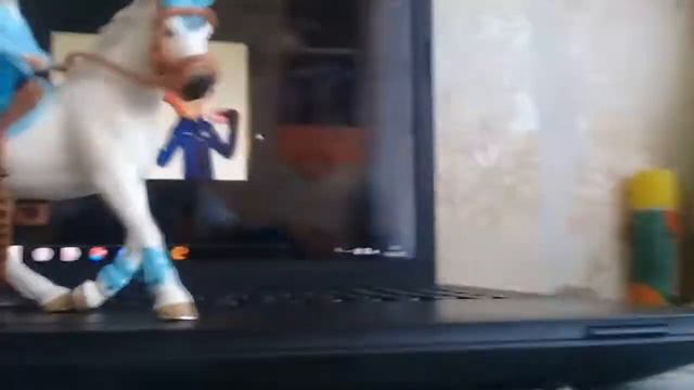 Новинки смотреть онлайн