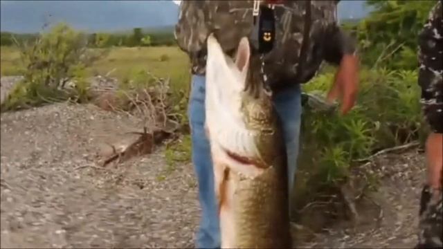 Путешествие на Север озера Байкал на теплоходе "ОЛЬХОН" в 2021 году. (Полная версия) смотреть онлайн