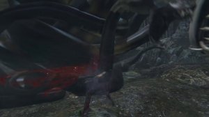 Bloodborne Cut Boss - Snake Ball - Unused Enemy