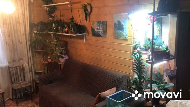 Ответы на вопросы. Уход за орхидеями. Обзор моих полочек с цветами? смотреть онлайн