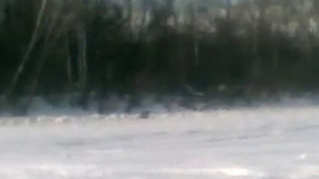 Майма картинг смотреть онлайн