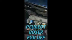 Peugeot Boxer Отключение EGR