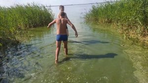Макушино. Шрек побывал в старом озере.)))