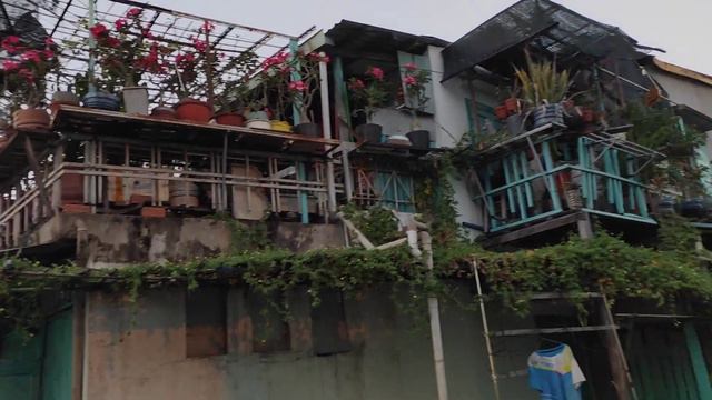 Последний день отдыха во Вьетнаме. Наконец то съели плод-вонючку. Злые собаки чуть не откусили ноги смотреть онлайн