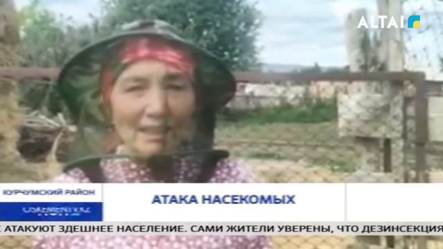 Атака насекомых смотреть онлайн