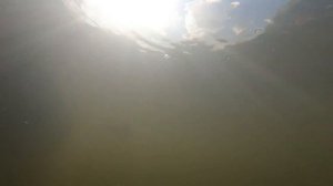 Сплав по Истре от водохранилища