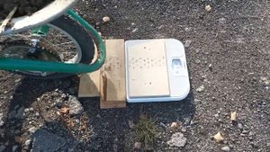 Александр Мишин. Садо-огородное СЭ (26.09.2023)