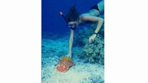 Дети глаголы 5