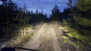 С днём рождения, ПСО «ЛизаАлерт» в Республике Марий Эл!