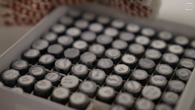 Самый долгий эволюционный эксперимент [Veritasium](1080P_HD) смотреть онлайн