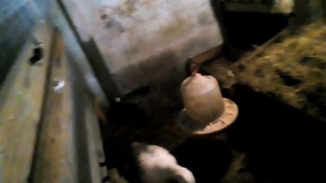 А у нас выпало много снега!!!!Тушёные овощи с мяском!!!