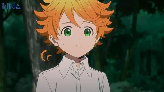 AMV~ The Promised Neverland~Ray X Emma~ Аниме клип~ обещанный неверленд