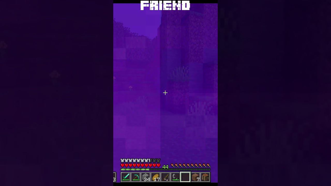 When you play with a friend Когда ты играешь с другом #minecraft #shorts смотреть онлайн