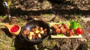 Шашлык, картошка на костре