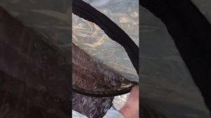 Обзор палатки всесезонной Берег Куб 2,2