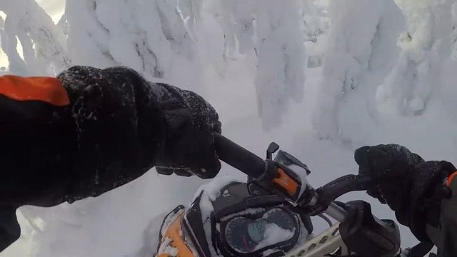 Кандалакша Мурманская область смотреть онлайн