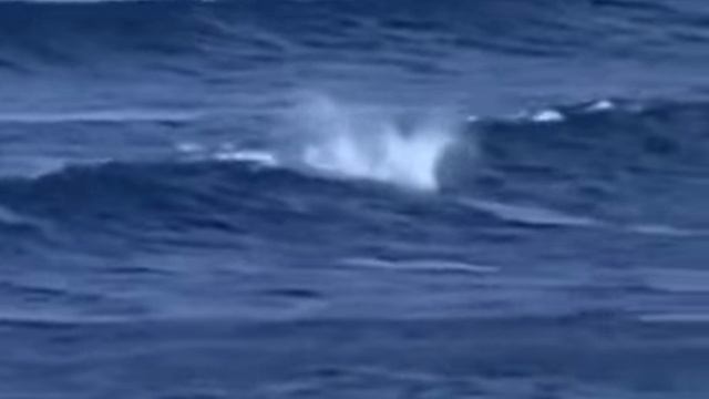 Русалка или....!. смотреть онлайн