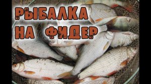 Рыбалка на фидер. Первая рыбалка на Урале.