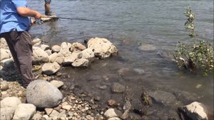 Рыбалка на селёдку 2018 Река Колумбия США