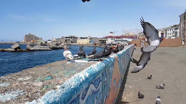 Замедленная съемка смотреть онлайн