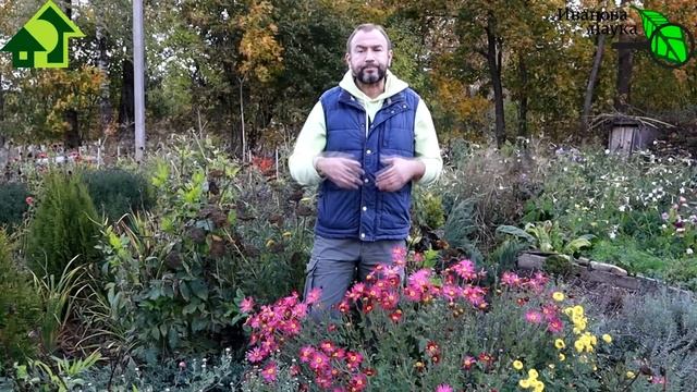 НЕ ДОПУСТИТЬ ПЕРЕРОЖДЕНИЯ МНОГОЛЕТНИКОВ! Все тюльпаны стали красными, а пионы розовыми? Вот причина смотреть онлайн