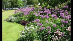 формы цветников