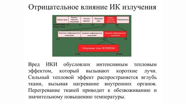 Влияние электромагнитного излучения разного диапазона на биологические объекты. Евгения Немова