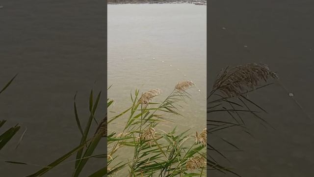 21 ноября 2022 г. смотреть онлайн