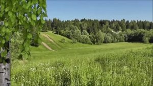 ПЛАКАЛА БЕРЕЗА !!! Очень душевная песня!!! Юрий Прибылов!!