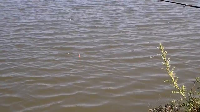 Рыбалка в болгарии смотреть онлайн