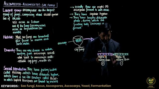 Ascomycota || 11TH BIOLOGY || CHP 8 || LECTURE 8 || смотреть онлайн