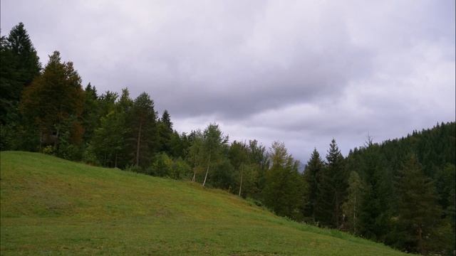 Шавасана - Медитация глубокого расслабления (10 минут) 4K HD