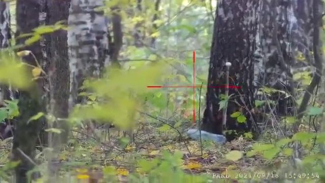 ТГ2 и Pard 008 50 м. смотреть онлайн