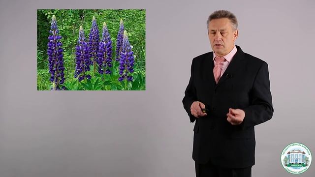 5.2 Система почвозащитной обработки почвы смотреть онлайн