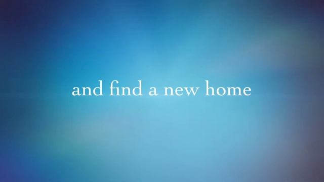 2015 Nissan Sentra 1.8 "S" For Sale смотреть онлайн