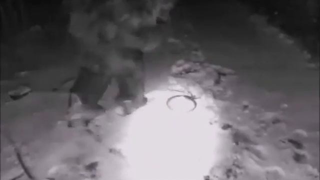 СНЕЖНЫЙ ЧЕЛОВЕК БЫЛ СНЯТ НА КАМЕРУ В ГОРАХ КБР