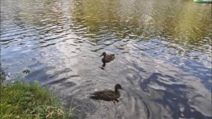 Продлись, продлись очарованье...