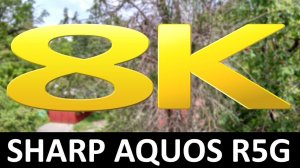 Пример 8K видео SHARP AQUOS R5G #1