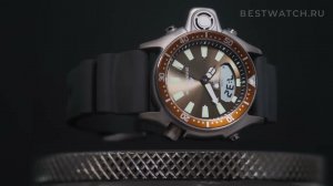 Часы Citizen Promaster Aqualand  - купить на Bestwatch.ru