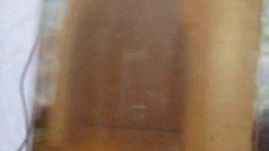 роды гуппи 27