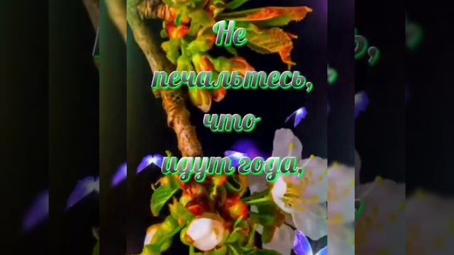 🌹*|ДОБРЫЙ ВЕЧЕР |Добрые пожелания для каждого❤️| смотреть онлайн