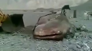 Самый большой сом в мире просто офигеть!!!