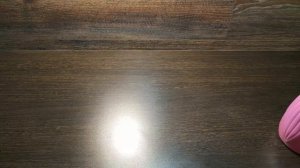 ХИЩНЫЕ РАСТЕНИЯ САРРАЦЕНИЯ И РОСЯНКА ИЗ СЕМЯН