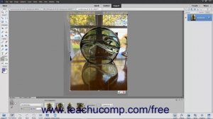 Learn How to Crop Photos in Adobe Photoshop Elements 2023: A Training Tutorial